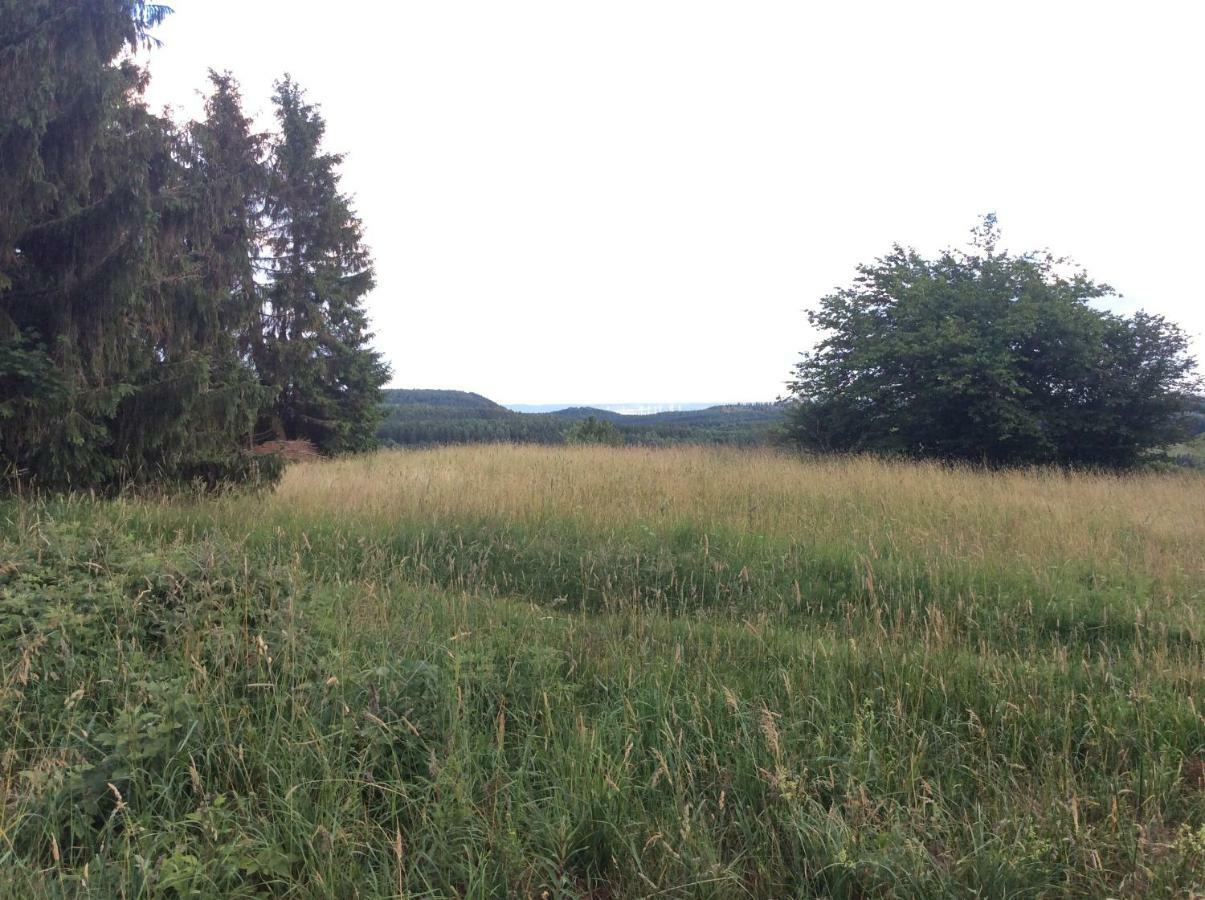 Ferienwohnung Harzblick Braunlage Exterior foto