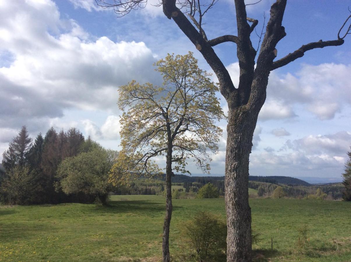 Ferienwohnung Harzblick Braunlage Exterior foto